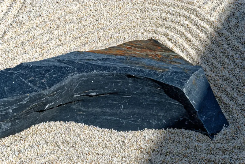 Schedule Nothing: How the Ancient Japanese Art of Pause Is Fixing America's Burnout Crisis